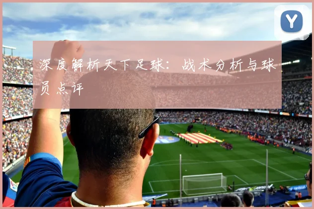 深度解析天下足球：战术分析与球员点评