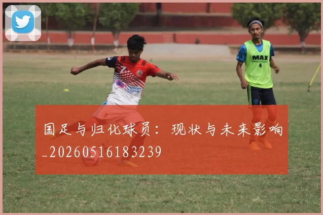 国足与归化球员：现状与未来影响_20260516183239