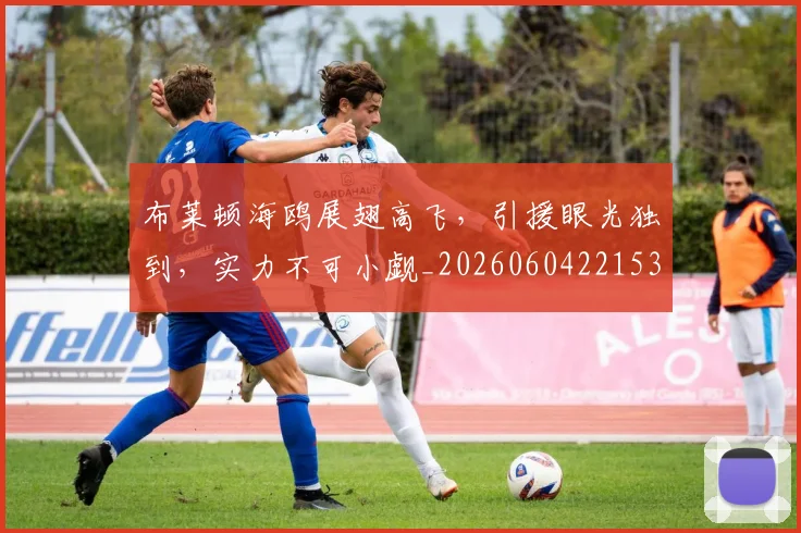 布莱顿海鸥展翅高飞,引援眼光独到,实力不可小觑_20260604221537_20260707151511