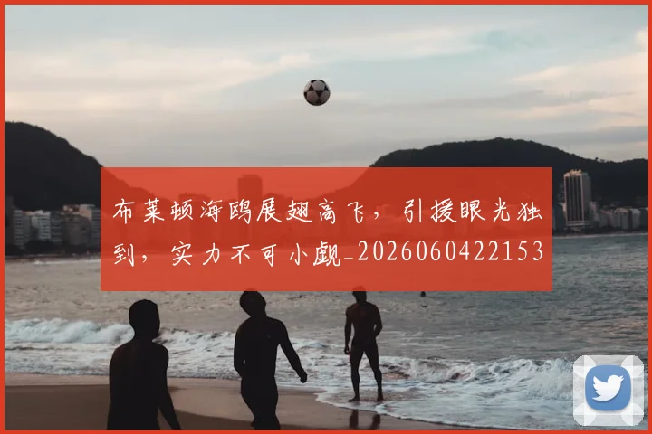 布莱顿海鸥展翅高飞,引援眼光独到,实力不可小觑_20260604221537_20260707151511